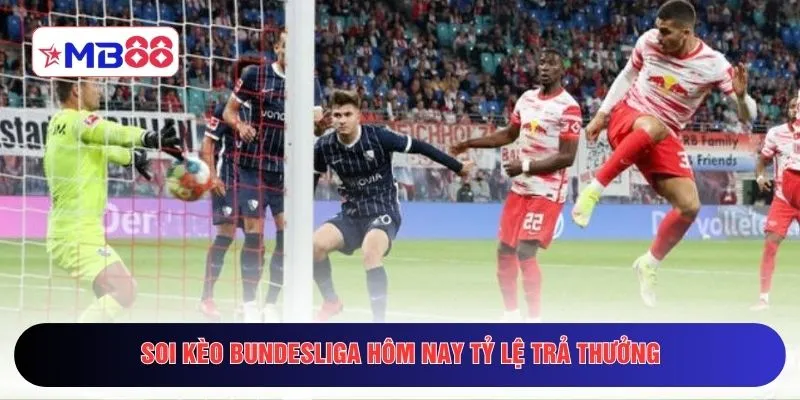 Soi kèo Bundesliga hôm nay tỷ lệ trả thưởng
